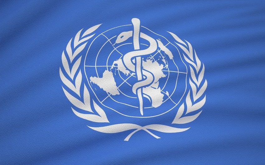 WHO requires $ 15 mln to support immediate Beirut blast response 