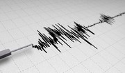 На Камчатке произошло землетрясение магнитудой 5,5