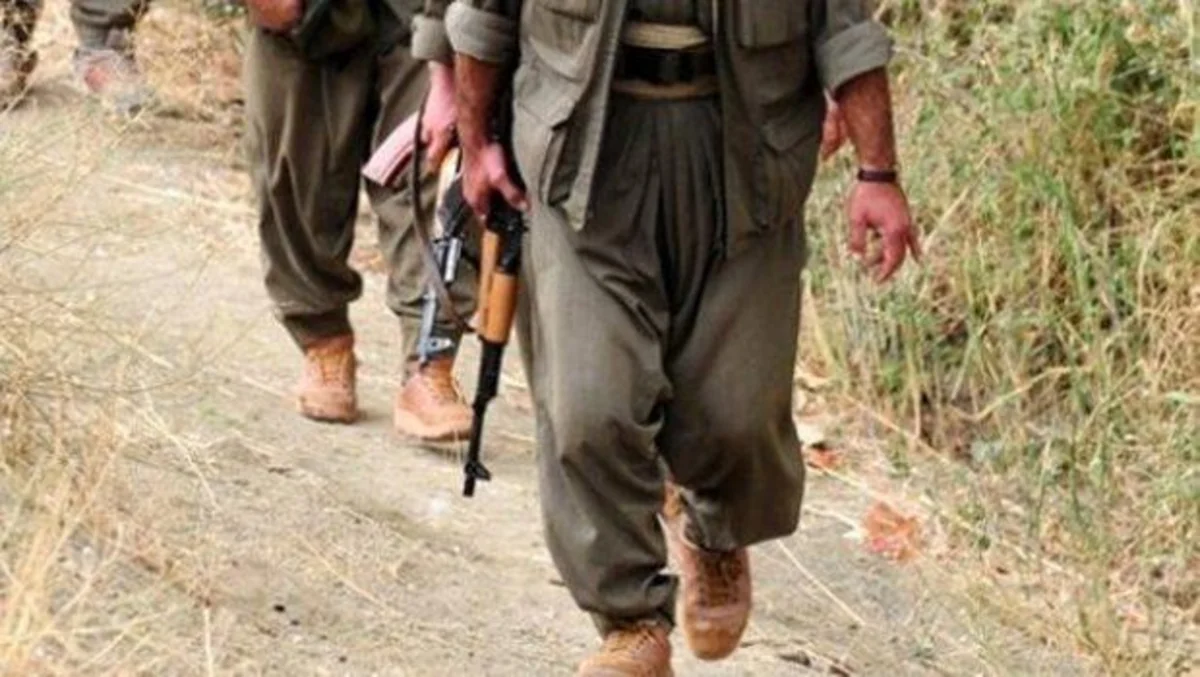 Türkiyənin cənub-şərqində 13 gündə 22 terrorçu məhv edilib