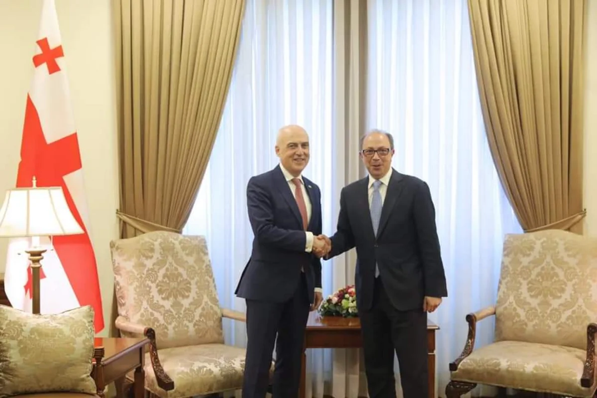 Georgian, Armenian FMs discuss situation in region