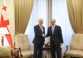 Georgian, Armenian FMs discuss situation in region