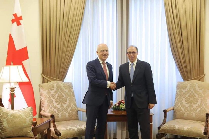 Georgian, Armenian FMs discuss situation in region