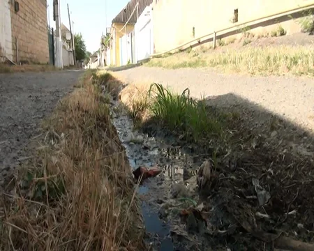 Kürdəmirin mərkəzi küçəsinin mövsümi qonaqları: yayda üfunət, qışda sel suları - REPORTAJ
