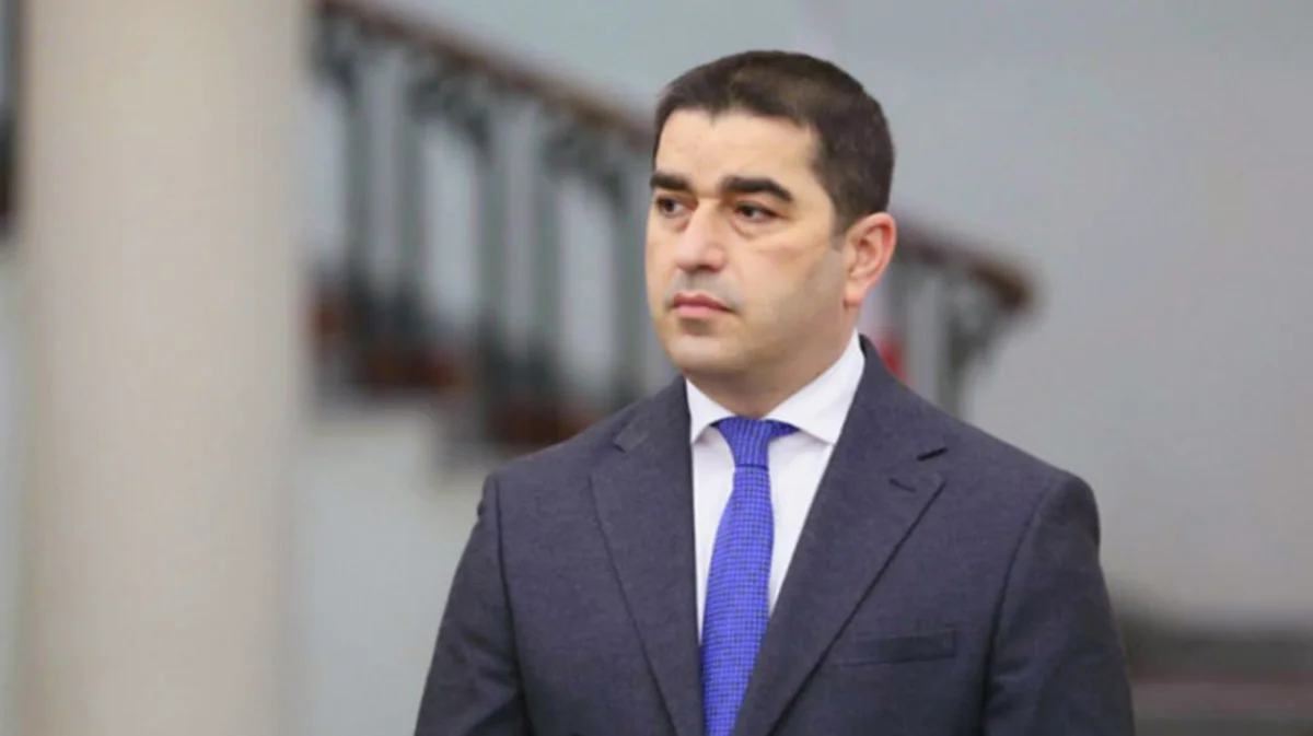 Глава парламента Грузии подписал законопроект об иноагентах