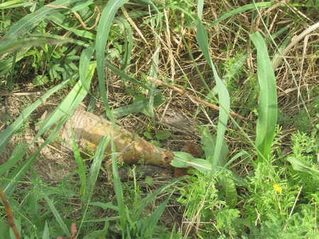 ANAMA finds grad rocket engine in Tartar and Gazakh