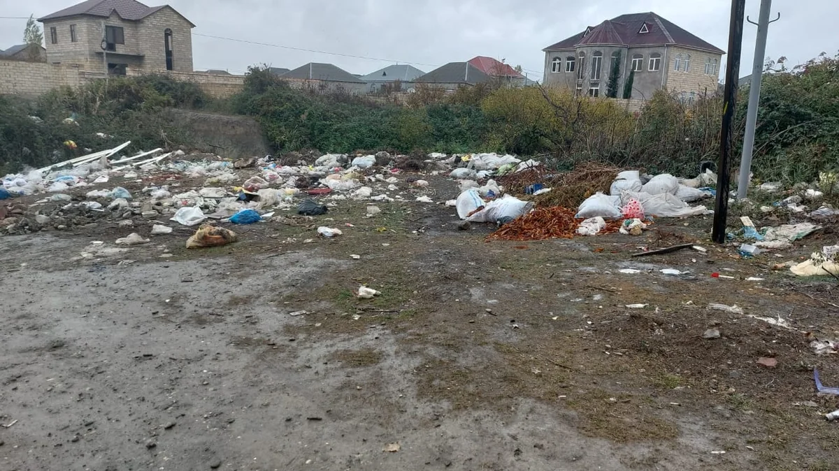 Xaçmazda ətraf mühitin çirkləndirilməsinə görə növbəti bələdiyyə sədri məsuliyyətə cəlb edilib