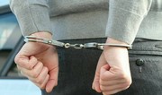 Foreign national arrested in Iran on suspicion of spying for Israel