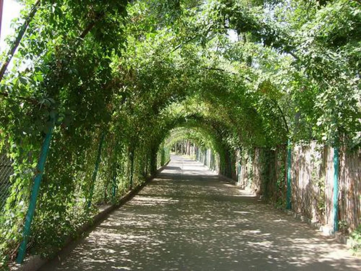 Azerbaijani President allocates more than $14M for reconstruction of Central Botanical Garden 