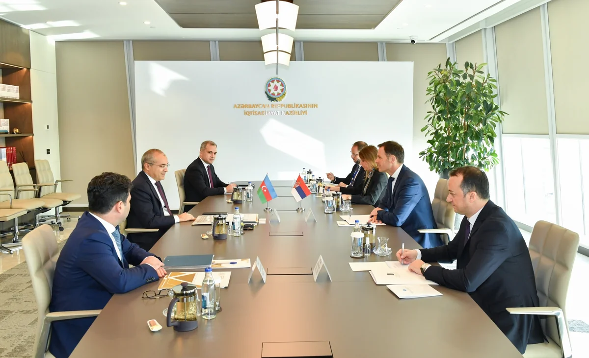Azerbaijan, Serbia mull promotion of mutual investments