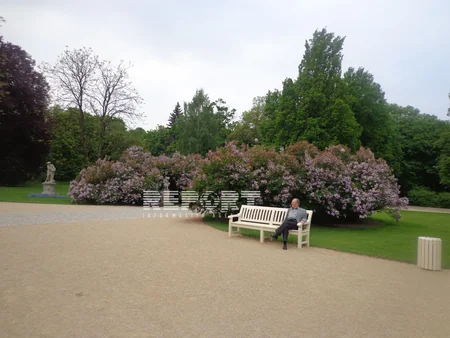 ​Варшава - город парков и бесчисленных светофоров - ФОТОРЕПОРТАЖ