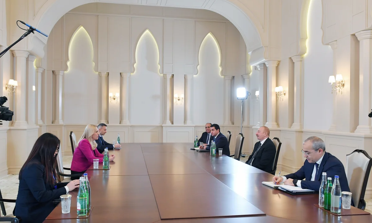 Президент Азербайджана принял члена Президиума Боснии и Герцеговины