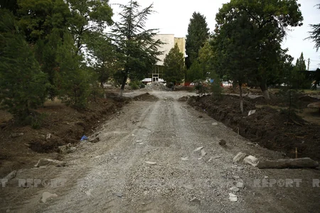Gürcüstanda Nəriman Nərimanov adına park yenidən qurulur