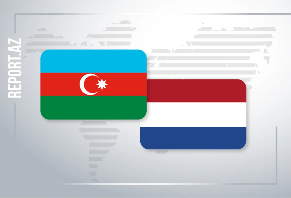 Niderland XİN Tehrandakı səfirliyə hücumu pisləyib