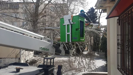 Güclü külək Bakıda 20 ağacı sındırıb
