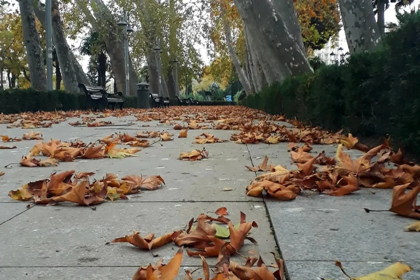 Sabah temperatur aşağı enəcək, güclü külək əsəcək, yağıntılar intensivləşəcək