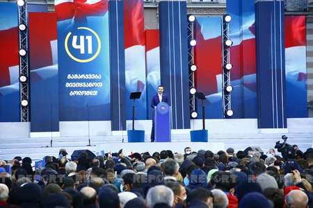 Gürcüstanın hakim partiyasının Tbilisidəki kütləvi mitinqi başa çatıb