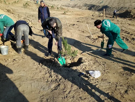 Ekologiya və Təbii Sərvətlər Nazirliyi iməcilik keçirib - FOTO