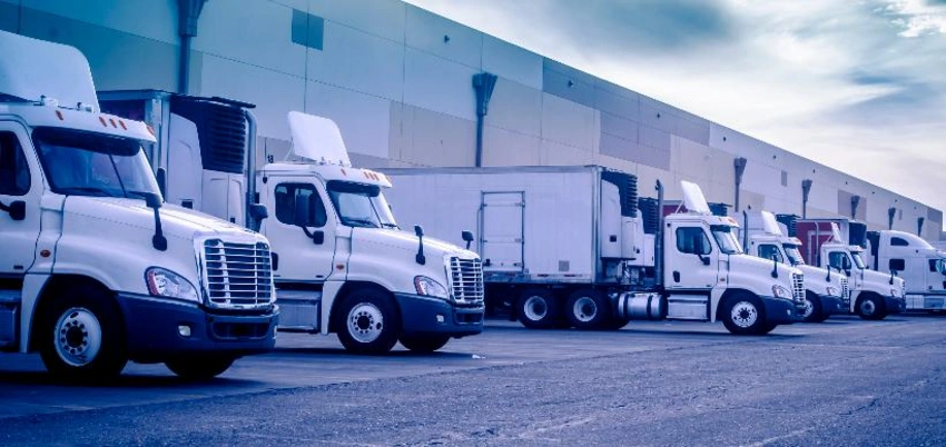 Permdə Azərbaycandan idxal olunan tərəvəzlər üçün logistika mərkəzi yaradılacaq