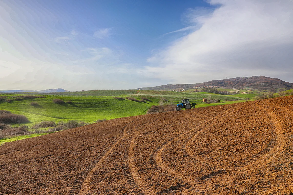 PM: 55.2% of unified land fund in Azerbaijan suitable for agriculture