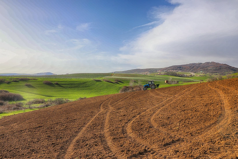 PM: 55.2% of unified land fund in Azerbaijan suitable for agriculture