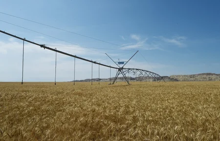 Prezident Goranboyda “Region Agro” MMC-nin açılışında iştirak edib - YENİLƏNİB