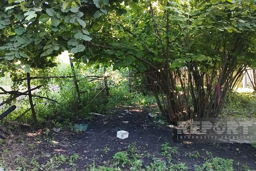 Oğuzda 11 yaşlı qız yelləncəyin ipinə dolanaraq boğulub