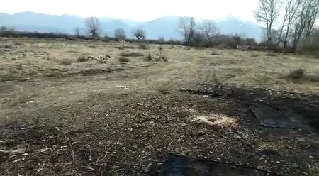 Qəbələ və Şəkidə qanunsuz çalışan ocaqxanaların fəaliyyəti dayandırılıb