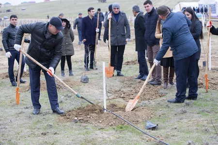 Kənd Təsərrüfatı Nazirliyi ağacəkmə kampaniyasına qatılıb