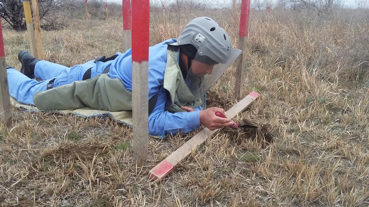 Cocuq Mərcanlıda 1 402 ədəd qəlpə aşkarlanıb