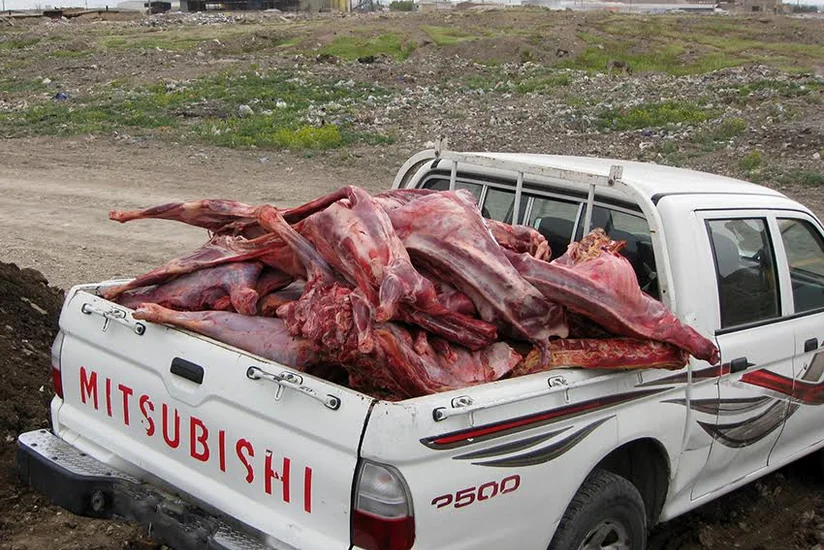 Bakıda 1,1 ton yararsız mal əti məhv edilib