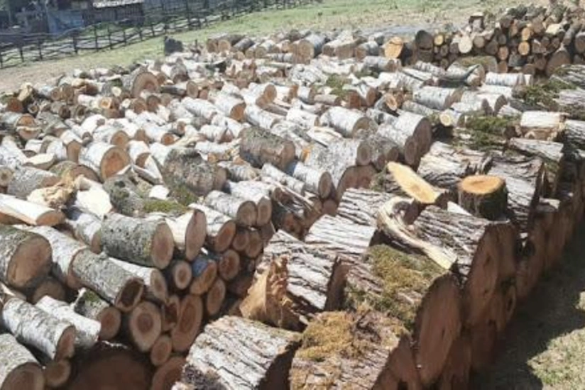 Qışa hazırlıq məqsədilə odun tədarükü proqramı təqdim olunub