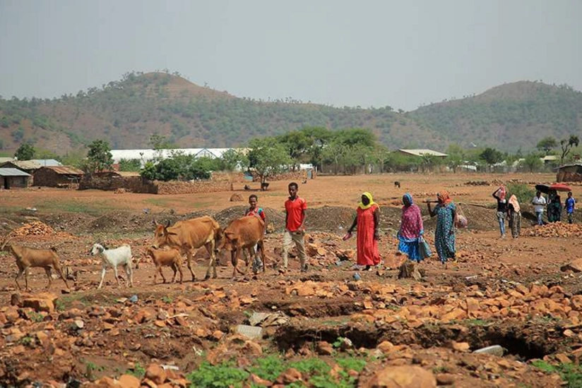 UN chief says humanitarian catastrophe unfolding in Ethiopia