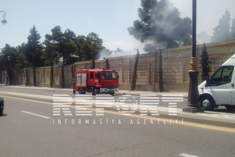 ​Qurd qapısı qəbiristanlığında yanğın baş verib
