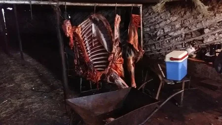 DBNX: Cəlilabadda at kəsimi ilə məşğul olan şəxs qanunsuz əməlini yenidən davam etdirib