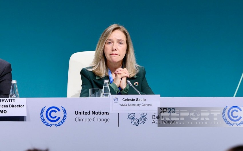 Генсек ВМО: На COP29 cтраны должны показать амбициозность NDC