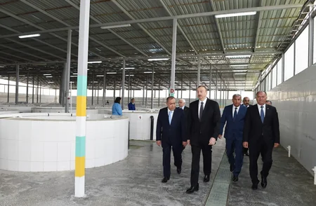 Yevlaxda balıqartırma müəssisəsi istifadəyə verilib