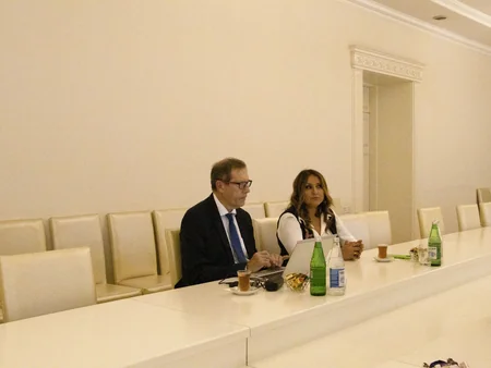Fransalı alimə Azərbaycanda qaçqınlıq və məcburi köçkünlük probleminin tarixi səbəbləri barədə məlumat verilib