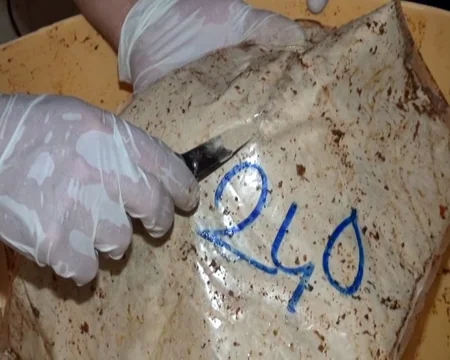 Gömrükçülər 545 kiloqram heroin aşkar edib - VİDEO