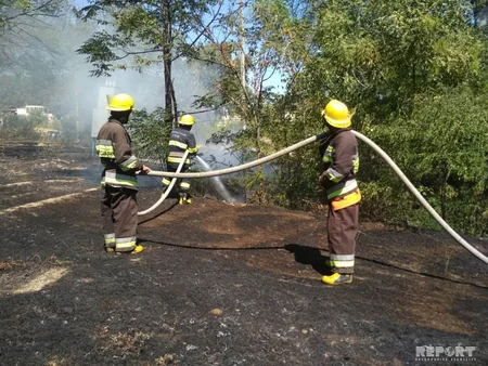 Bərdədə yanğın irigövdəli ağacları yararsız hala salıb - FOTO - VİDEO - YENİLƏNİB