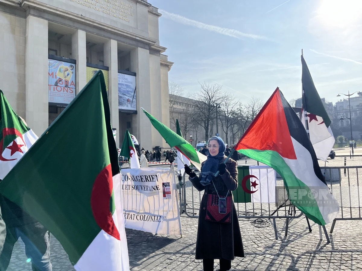 Algerians hold protest in Paris against France's colonial policy