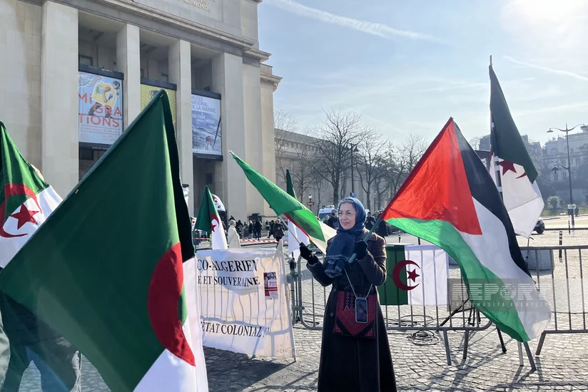 В Париже прошла акция против колониальной политики Франции   - Bидео
