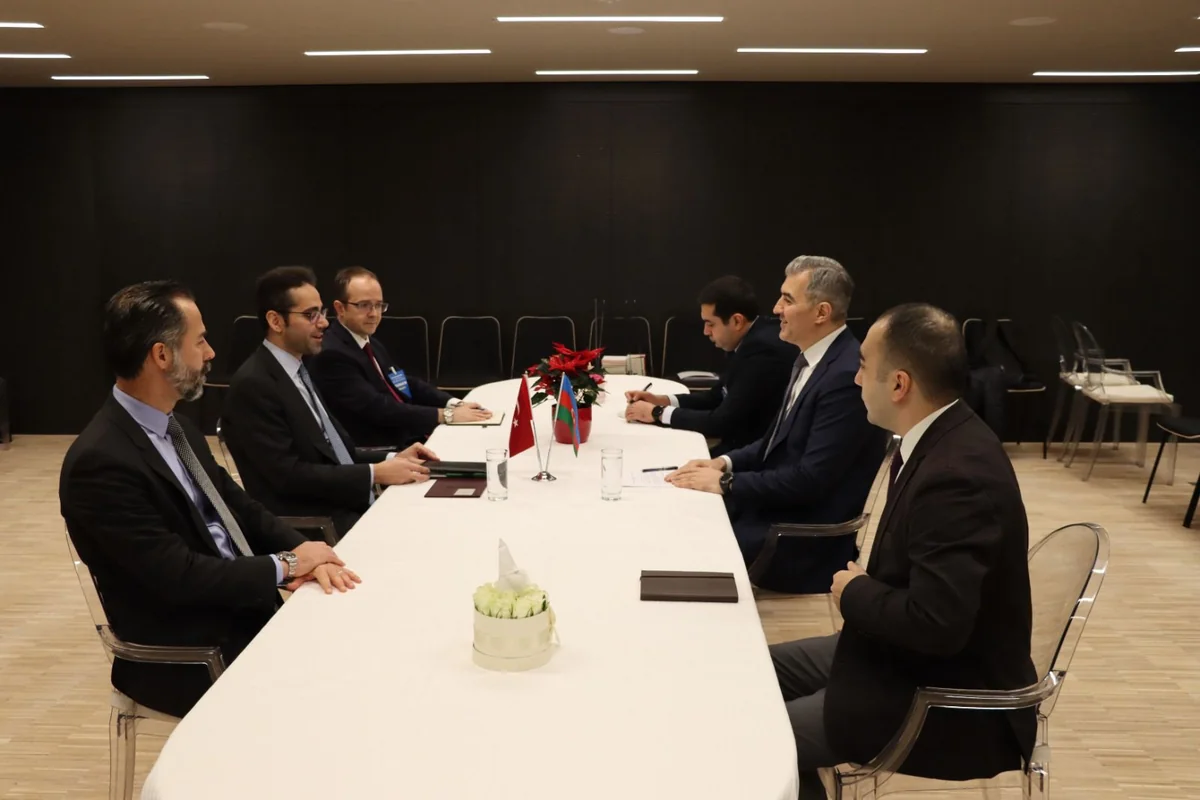 Azerbaijani, Turkish officials discuss cooperation in migration 