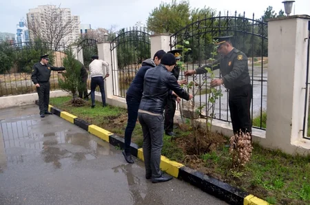 ​Silahlı Qüvvələrdə ağacəkmə aksiyasına start verilib