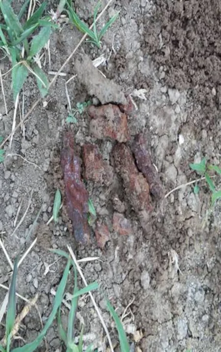 Ağdamda partlamış raket və mərmi qalıqları aşkarlanıb