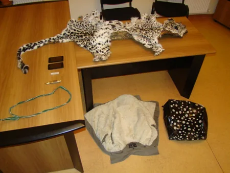 ​IDEA adı Qırmızı Kitaba düşən bəbirin öldürülməsi ilə bağlı bəyanat yayıb