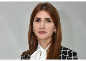 Məşğulluq Strategiyasının əsas hədəfləri və gözlənilən nəticələri açıqlanıb