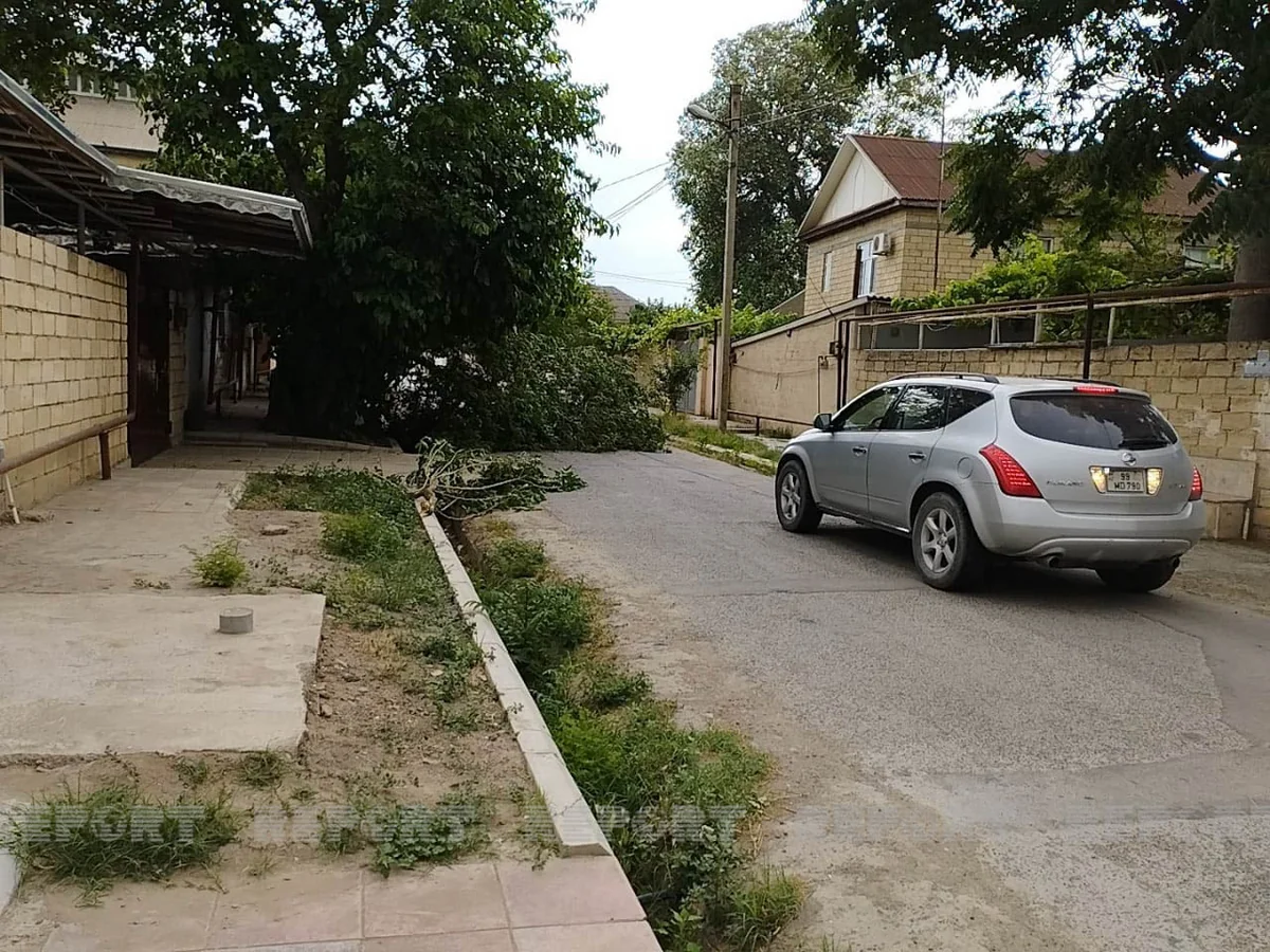 Salyanda güclü külək bir sıra fəsadlar törədib