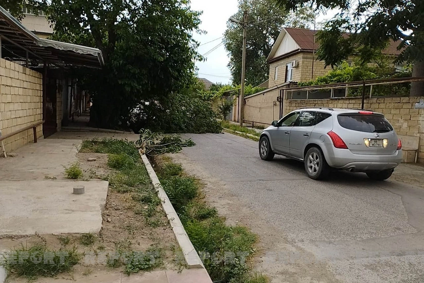 Salyanda güclü külək bir sıra fəsadlar törədib