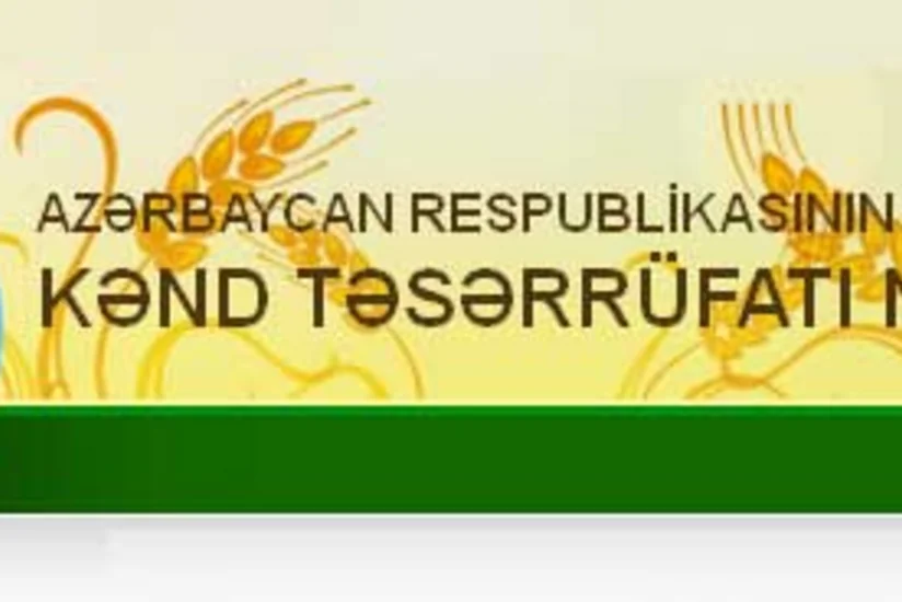 ​Kənd Təsərrüfatı Nazirliyi tender keçirir