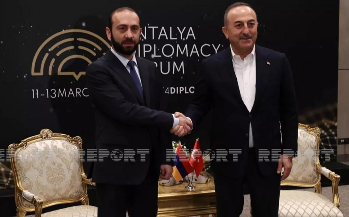 Armenian FM to meet Turkish counterpart in Türkiye